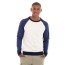 Hollister Backyard Sweatshirt